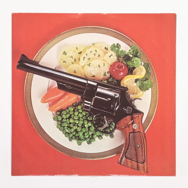 Additional image for album Excitable Boy by Warren Zevon