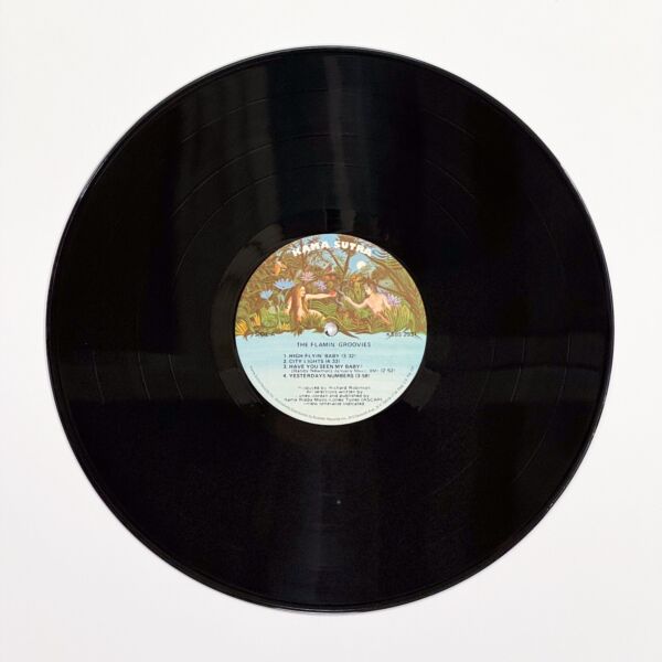 Front of the record Teenage Head by The Flamin' Groovies