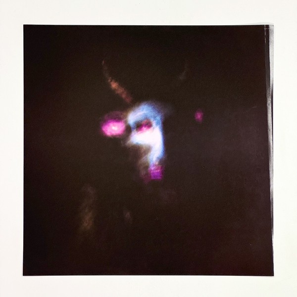 Additional image for album We Are Not Your Kind by Slipknot
