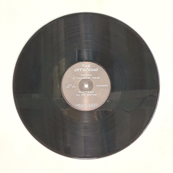 Back of the record The Offspring by Offspring